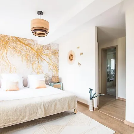 Maison - L'outsider - Foret Wingen-sur-Moder